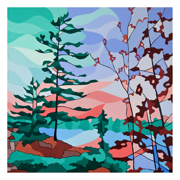 In The Pines 36x36 Canvas Print