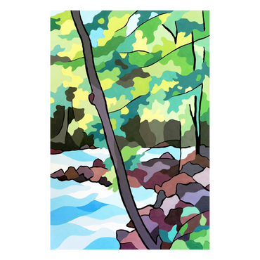 Forest Stream
