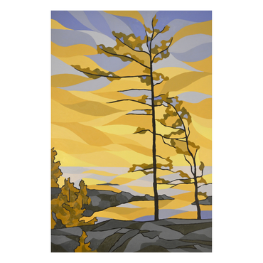 Killarney Trees