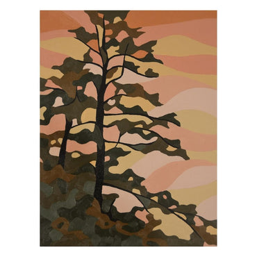 Orange Pine