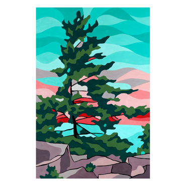Rock Sunset Pine