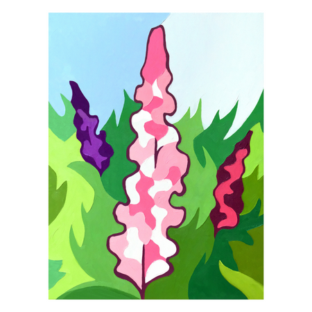 Lupin Centre 12