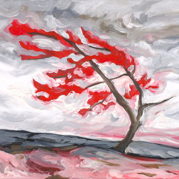 Killbear Pine Impression 20