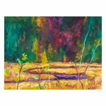 Algonquin Spruce Bog 24