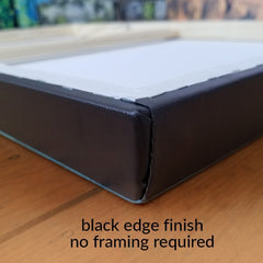 Rainbow Pine Portrait 18