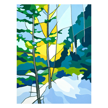 Winter Forest Sunshine