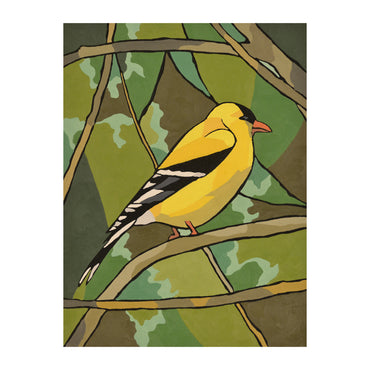 Yellow Finch