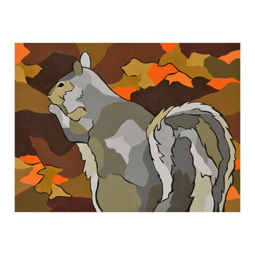 Grey Squirrel