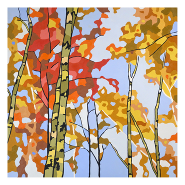 Blue Sky Birches