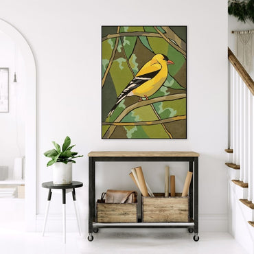 Yellow Finch